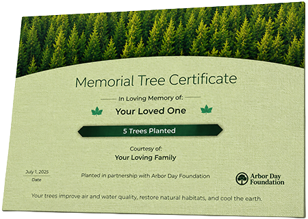Plant Trees in Memory of Anthony Dumas